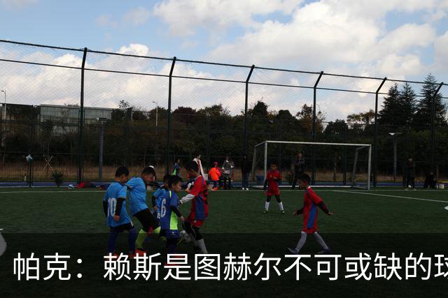 帕克：赖斯是图赫尔不可或缺的球员，是所有教练梦寐以求的中场