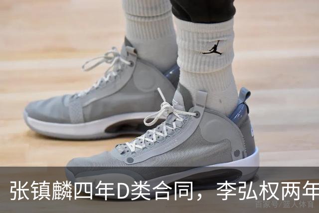 张镇麟四年D类合同，李弘权两年C类合同，偰李永祎三年B类合同