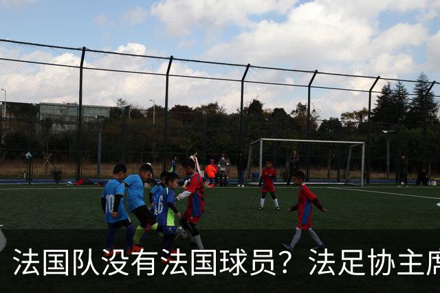 法国队没有法国球员？法足协主席：前西班牙首相的言论是种族歧视