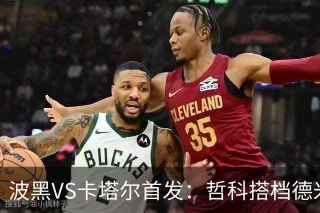 波黑VS卡塔尔首发：哲科搭档德米罗维奇 科拉希纳茨出战