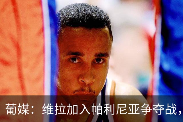 葡媒：维拉加入帕利尼亚争夺战，本菲卡凭亲情与恩师竞争