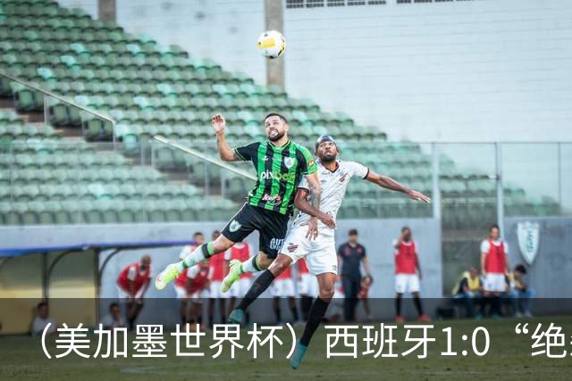 （美加墨世界杯）西班牙1:0“绝杀”葡萄牙 C罗结束世界杯征程