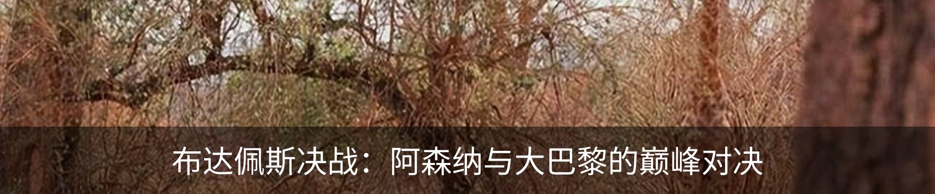 新闻中心