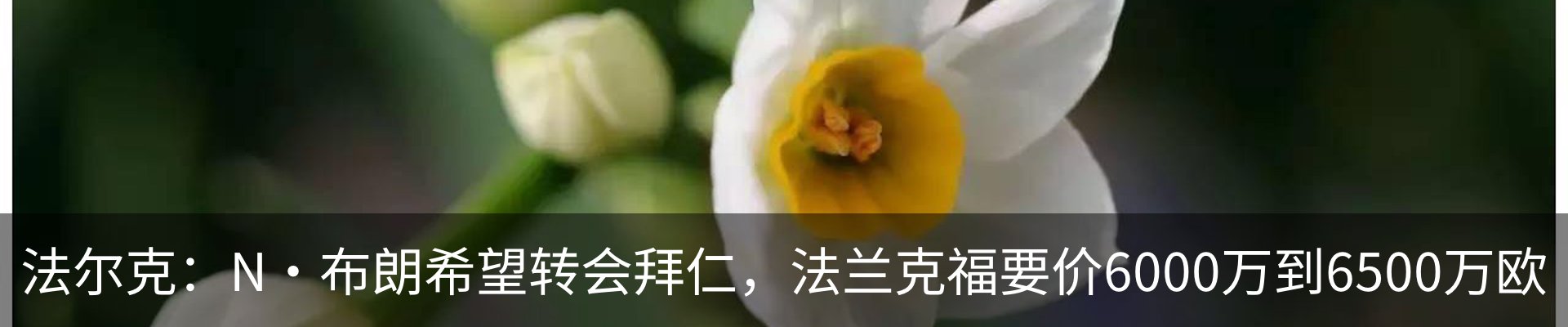 新闻中心