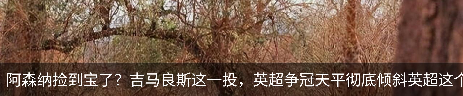 新闻中心